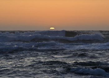 Avustralyalı balıkçı, köpeğiyle Pasifik Okyanusu'nda 2 ay hayatta kalmayı başardı