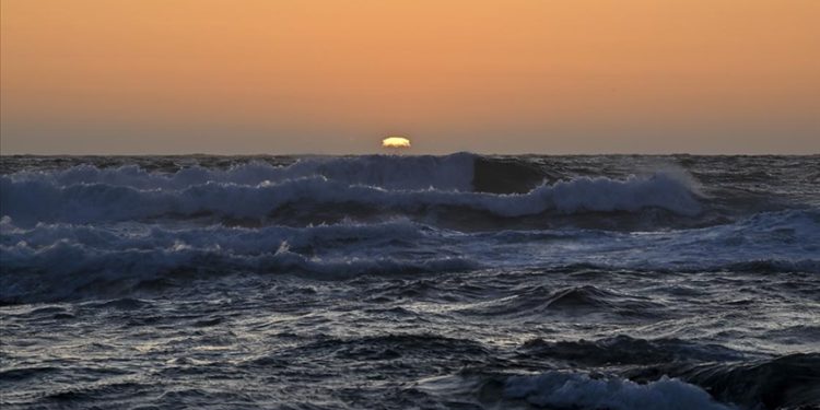 Avustralyalı balıkçı, köpeğiyle Pasifik Okyanusu'nda 2 ay hayatta kalmayı başardı