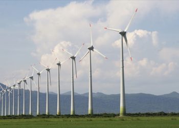 Yenilenebilir enerji gelecek yıl dünyanın en büyük elektrik üretim kaynağı olabilir