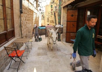 Mardin’de çöp taşıyan kadrolu eşeklerin yaz mesaisi