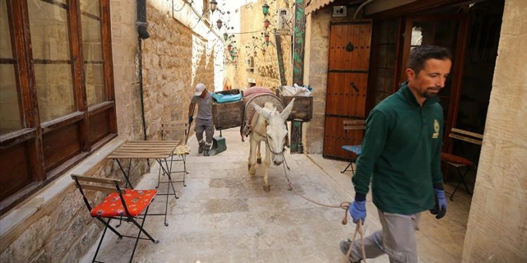 Mardin’de çöp taşıyan kadrolu eşeklerin yaz mesaisi