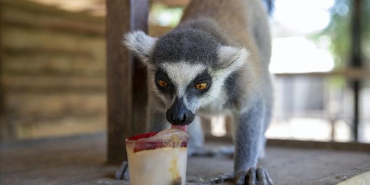 Tarsus Doğa Parkı sakinleri buzlu kokteyl ve yağmurlama sistemiyle serinliyor
