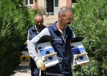 Bitlis'te atıl elektrik panoları, kuş yuvasına dönüştürülüyor