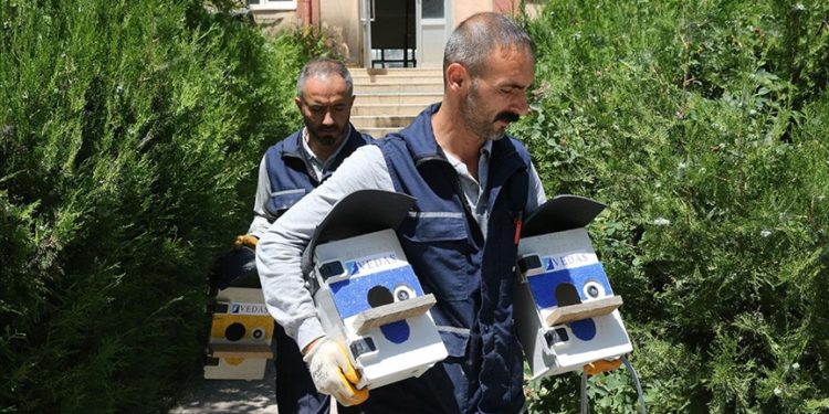 Bitlis'te atıl elektrik panoları, kuş yuvasına dönüştürülüyor