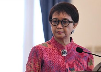 Türkiye ve Endonezya iki lider ve gelişmekte olan ekonomileri temsil ediyor