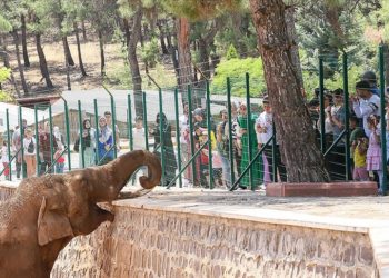 Gaziantep Doğal Yaşam Parkı 62 bin ziyaretçiyi ağırladı
