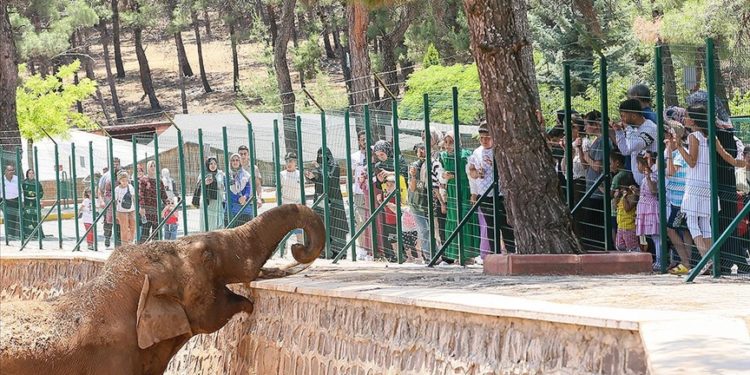 Gaziantep Doğal Yaşam Parkı 62 bin ziyaretçiyi ağırladı