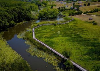 Nilüferlerin açtığı Acarlar Longozu misafirlerini ağırlıyor