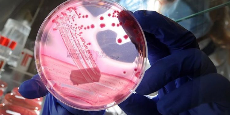 Japonya'da araştırmacılar, yumurtalık kanserini erken teşhis edebilecek proteinler keşfetti