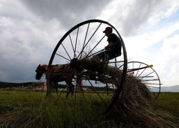 Çiftçilere yaklaşık 96,1 milyon lira tarımsal destek ödemesi bugün yapılacak