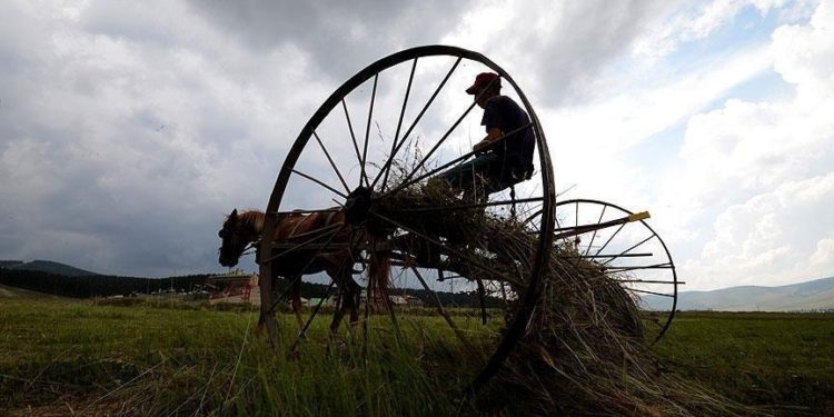 Çiftçilere yaklaşık 96,1 milyon lira tarımsal destek ödemesi bugün yapılacak