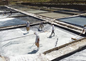 Kemah tuzu üreticileri bunaltıcı sıcaklarda mesai yapıyor