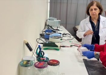 Akademisyenler doğal gıda boyasıyla renkli süt ürünleri geliştirmeyi hedefliyor