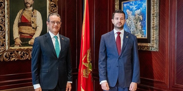 Karadağ, Türkiye ile ekonomik işbirliğini geliştirme hedefinde