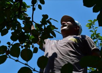 Kronik hastalara “öğle saatlerinde gölgede kal” uyarısı