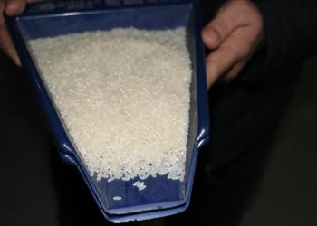 Hindistan, basmati olmayan beyaz pirinç ihracatını yasakladı