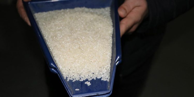 Hindistan, basmati olmayan beyaz pirinç ihracatını yasakladı