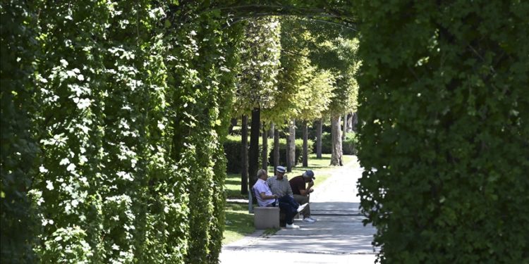 “Kalp ve tansiyon hastaları sıcağa karşı daha duyarlı olsun” uyarısı