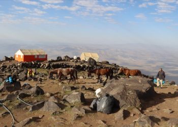 Ağrı Dağı eteklerindeki köylüler tırmanışa gelen dağcılara lojistik destek sağlıyor