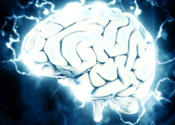 Belçikalı bilim insanları balık hafızasından yola çıkarak bunamaya karşı tedavi geliştiriyor