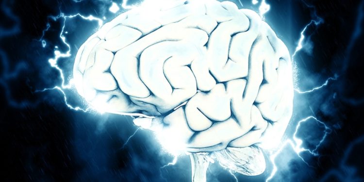 Belçikalı bilim insanları balık hafızasından yola çıkarak bunamaya karşı tedavi geliştiriyor