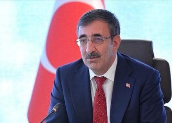 Cumhurbaşkanı Yardımcısı Yılmaz’dan eski Bakan Arzu için başsağlığı mesajı