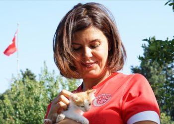 Antalyaspor, kırmızı formasını sokak hayvanlarına adadı