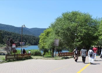 Bolu'da sıcaktan bunalanların tercihi Gölcük Tabiat Parkı oldu