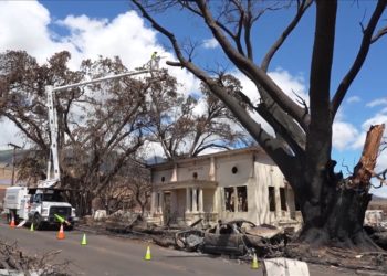 Hawaii'deki orman yangınları nedeniyle 850 kişiden haber alınamıyor