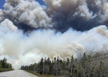 Yaz dönemindeki aşırı doğa olayları, kuzey yarım kürede sağlığa ve çevreye büyük zarar verdi