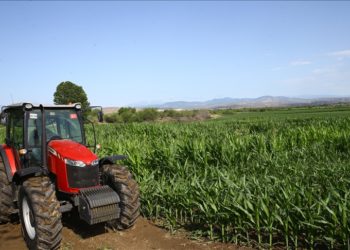 Tarım ve Orman Bakanlığının projesiyle 3 yılda 4,5 milyon dekar atıl arazi üretime kazandırıldı