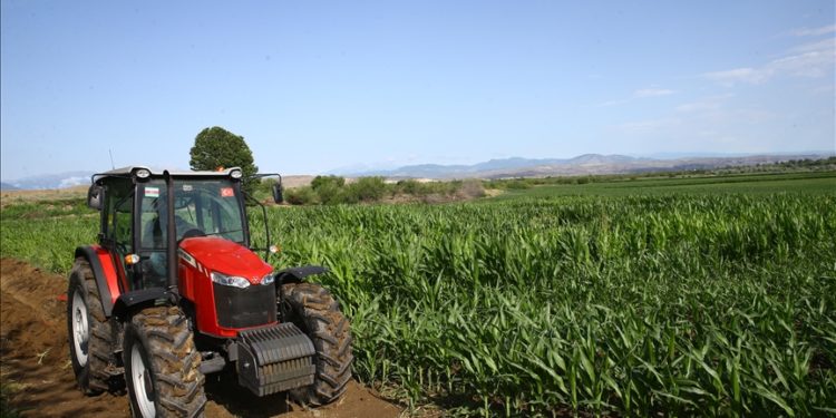 Tarım ve Orman Bakanlığının projesiyle 3 yılda 4,5 milyon dekar atıl arazi üretime kazandırıldı