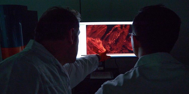 Türk profesörün “şeffaf görüntüleme” teknolojisi yapay zeka desteğiyle kansere yeni çözümler getirecek