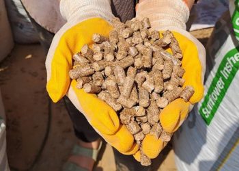 Sakarya'da KOSGEB desteğiyle tesis kuran üniversiteli, kömüre alternatif pelet üretiyor