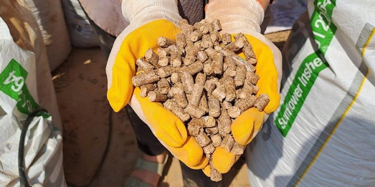 Sakarya'da KOSGEB desteğiyle tesis kuran üniversiteli, kömüre alternatif pelet üretiyor