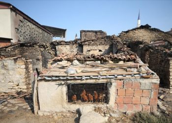 Orman yangınında zarar gören köyün sakinleri canlarını kurtardıklarına seviniyor