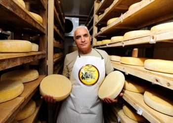 İsviçre’deki Alpler’den Cezayir’deki Atlas Dağları’na uzanan bir peynir hikayesi