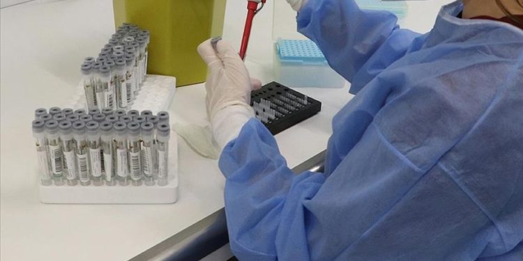 DSÖ’den Kovid-19’un yeni varyantları karşısında “daha fazla test” çağrısı