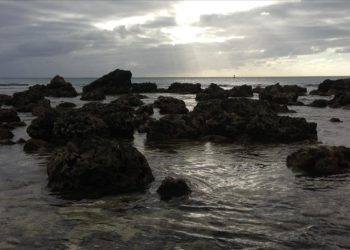 Güney-Batı Pasifik’te iklim değişikliğinin etkileri artıyor