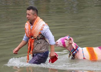 Denizli’de 850’nci “Sudan Koyun Geçirme Yarışması” yapıldı