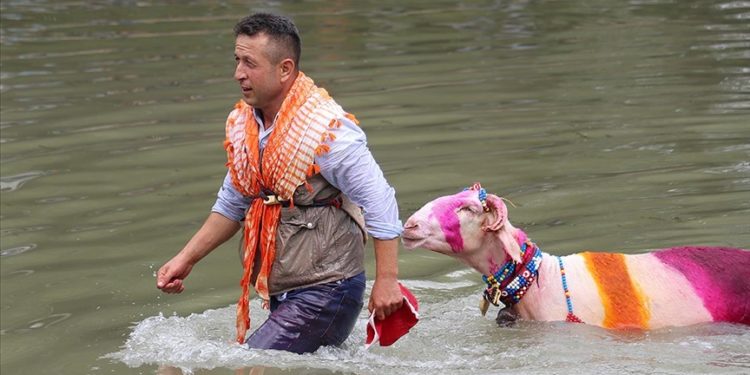 Denizli’de 850’nci “Sudan Koyun Geçirme Yarışması” yapıldı