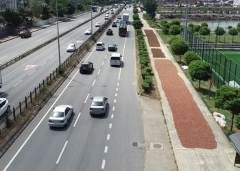 Trabzon’da üreticiler fındığı kurutmak için yol kenarlarını tercih ediyor