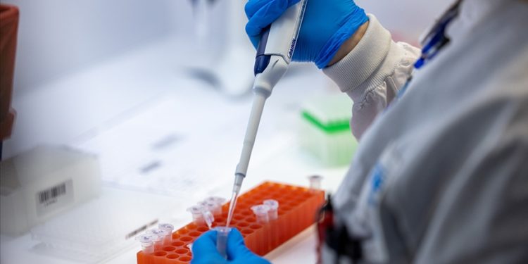 DSÖ’den Kovid-19’un yeni varyantları karşısında “daha fazla test” çağrısı