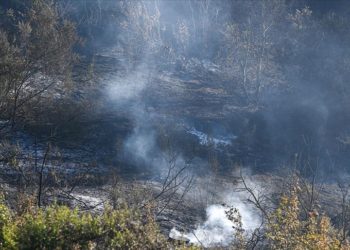 ABD'nin Washington eyaletinde devam eden orman yangınlarında 2 kişi öldü