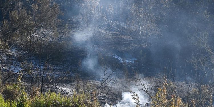 ABD'nin Washington eyaletinde devam eden orman yangınlarında 2 kişi öldü