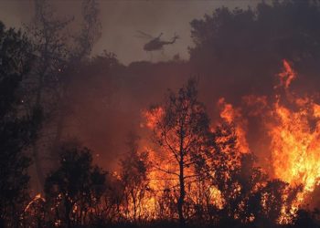 Yunanistan'da temmuzun ikinci yarısında 470 bin dönüm ormanlık alan yandı