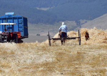 Tarımsal destekleme ödemeleri bugün çiftçilerin hesaplarına aktarıldı