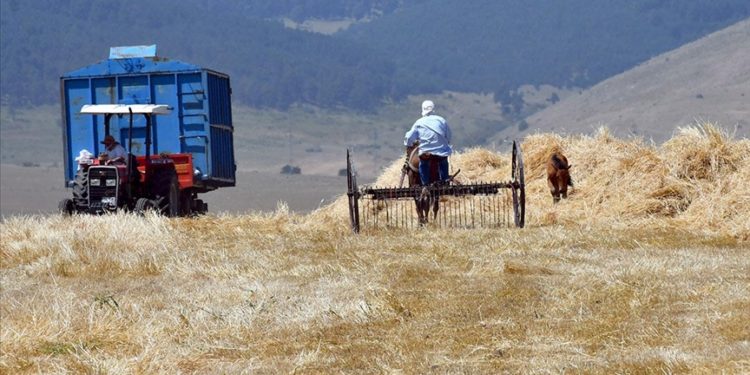 Tarımsal destekleme ödemeleri bugün çiftçilerin hesaplarına aktarıldı