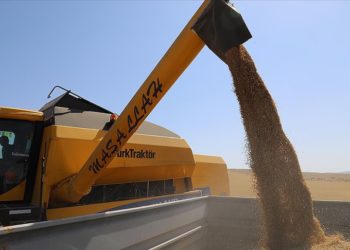 Kocaeli'de TMO silosundaki patlamanın hububat fiyatlarını etkilemesi beklenmiyor