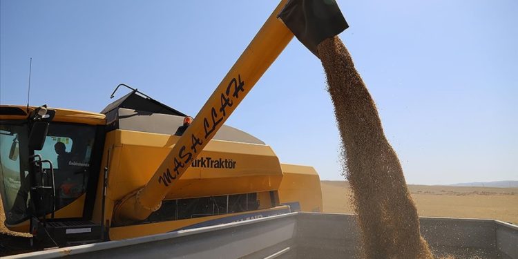 Kocaeli'de TMO silosundaki patlamanın hububat fiyatlarını etkilemesi beklenmiyor